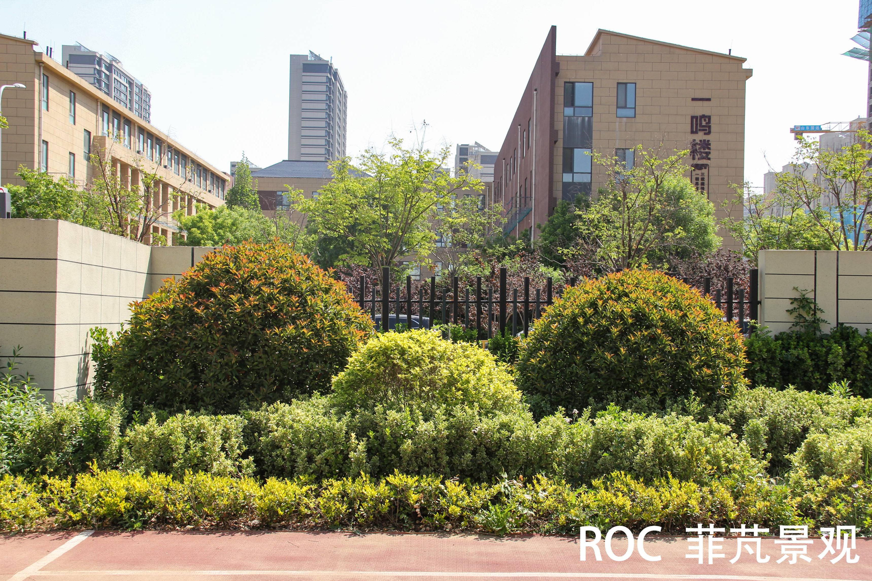 菲芃景觀·春季養(yǎng)護